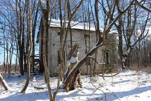 $685,900 | 9571 Waldron Road, Jerome, MI 49249