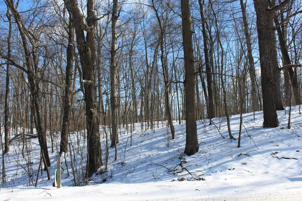 $685,900 | 9571 Waldron Road, Jerome, MI 49249