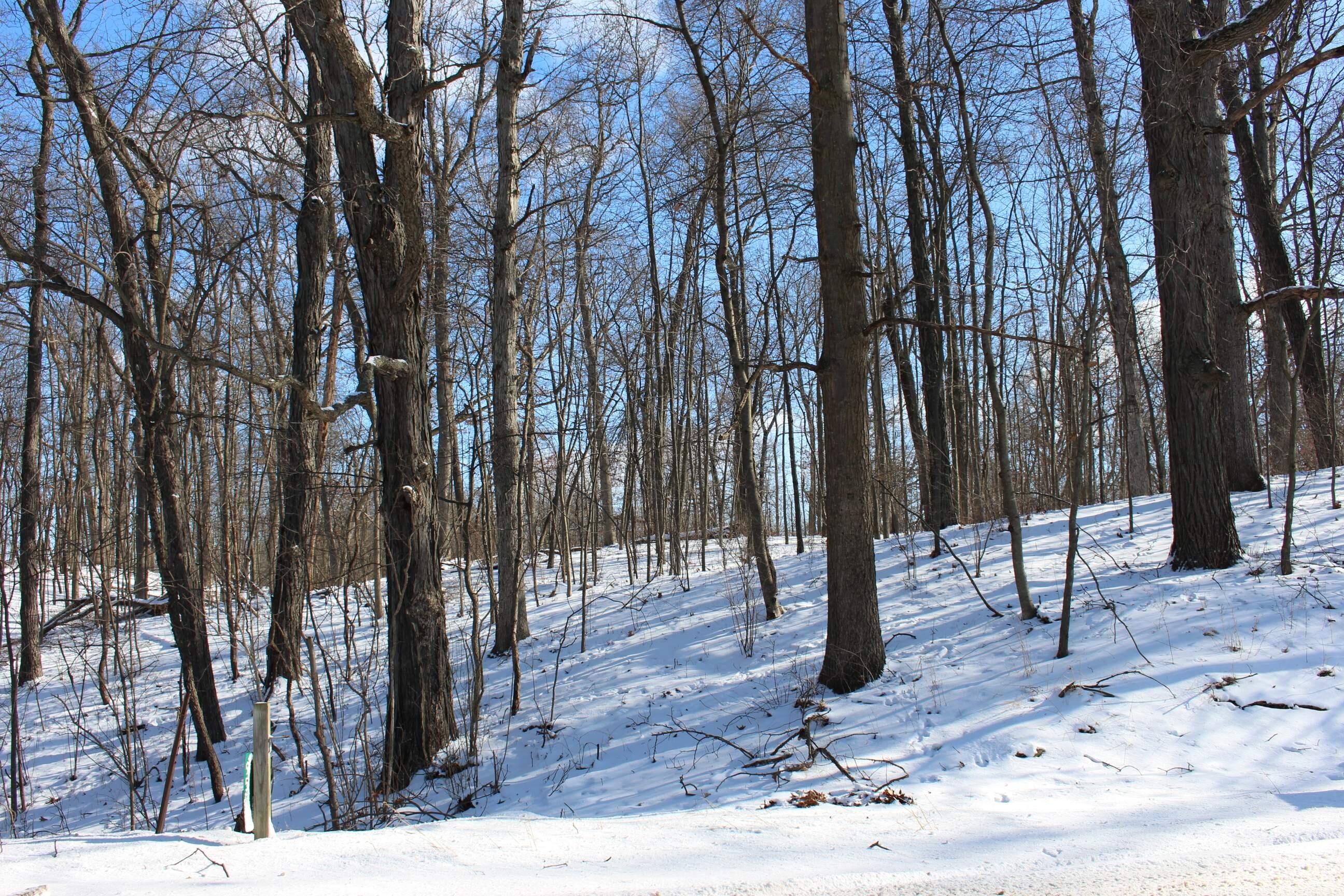 9571 Waldron Road Jerome, MI 49249 - Photo 7 of 11 IMG_5381 2