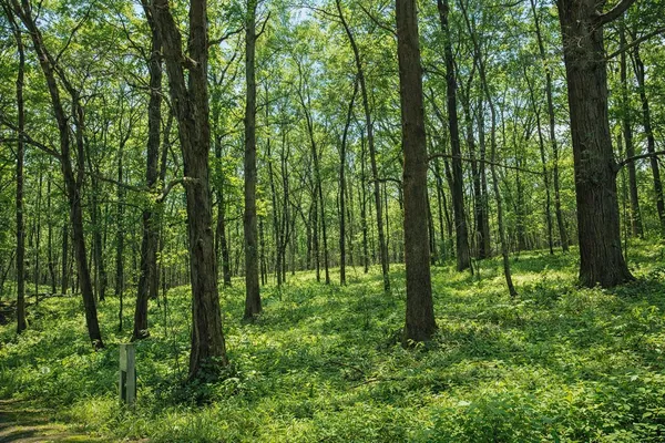 $685,900 | 9571 Waldron Road, Jerome, MI 49249