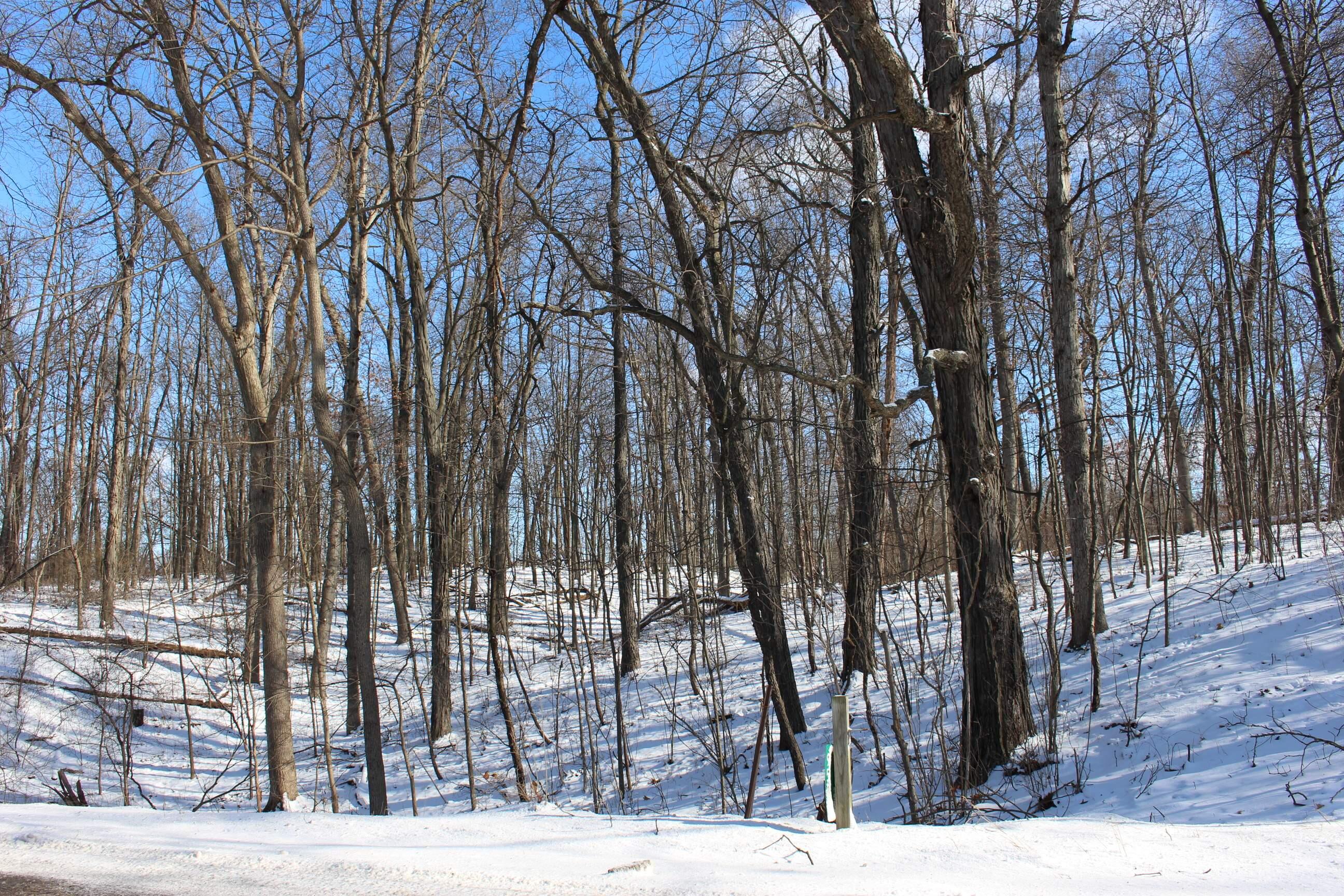 9571 Waldron Road Jerome, MI 49249 - Photo 10 of 11 IMG_5382 2