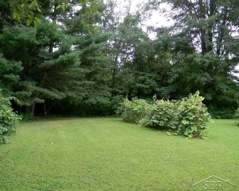 1751 West Sloan Road Burt, MI 48417 - Photo 23 of 27 31258788-22.JPG