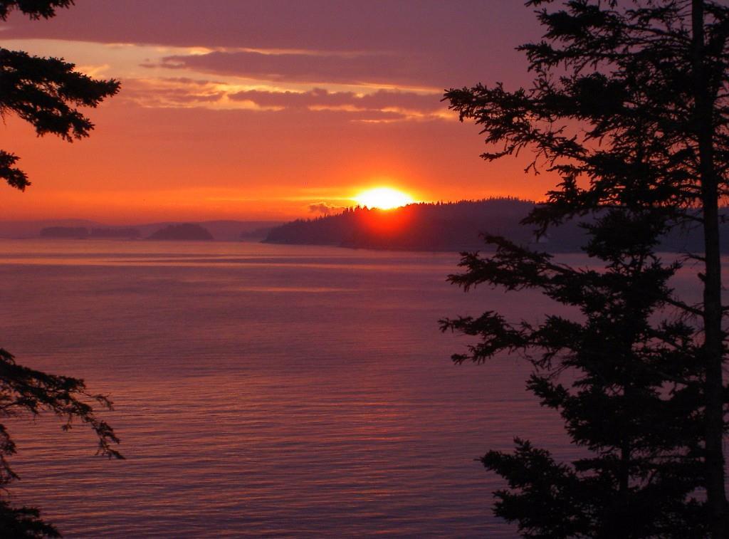 550 North Deer Isle Road Deer Isle, ME 04627 - Photo 20 of 20 Photo