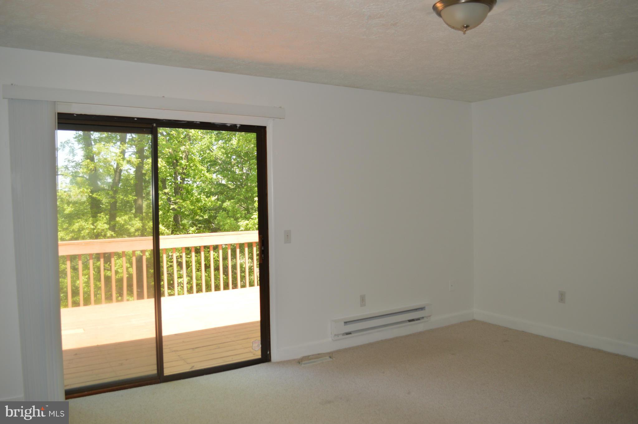 153 Bluff Road Strasburg, VA 22657 - Photo 14 of 29 Bedroom (Master)