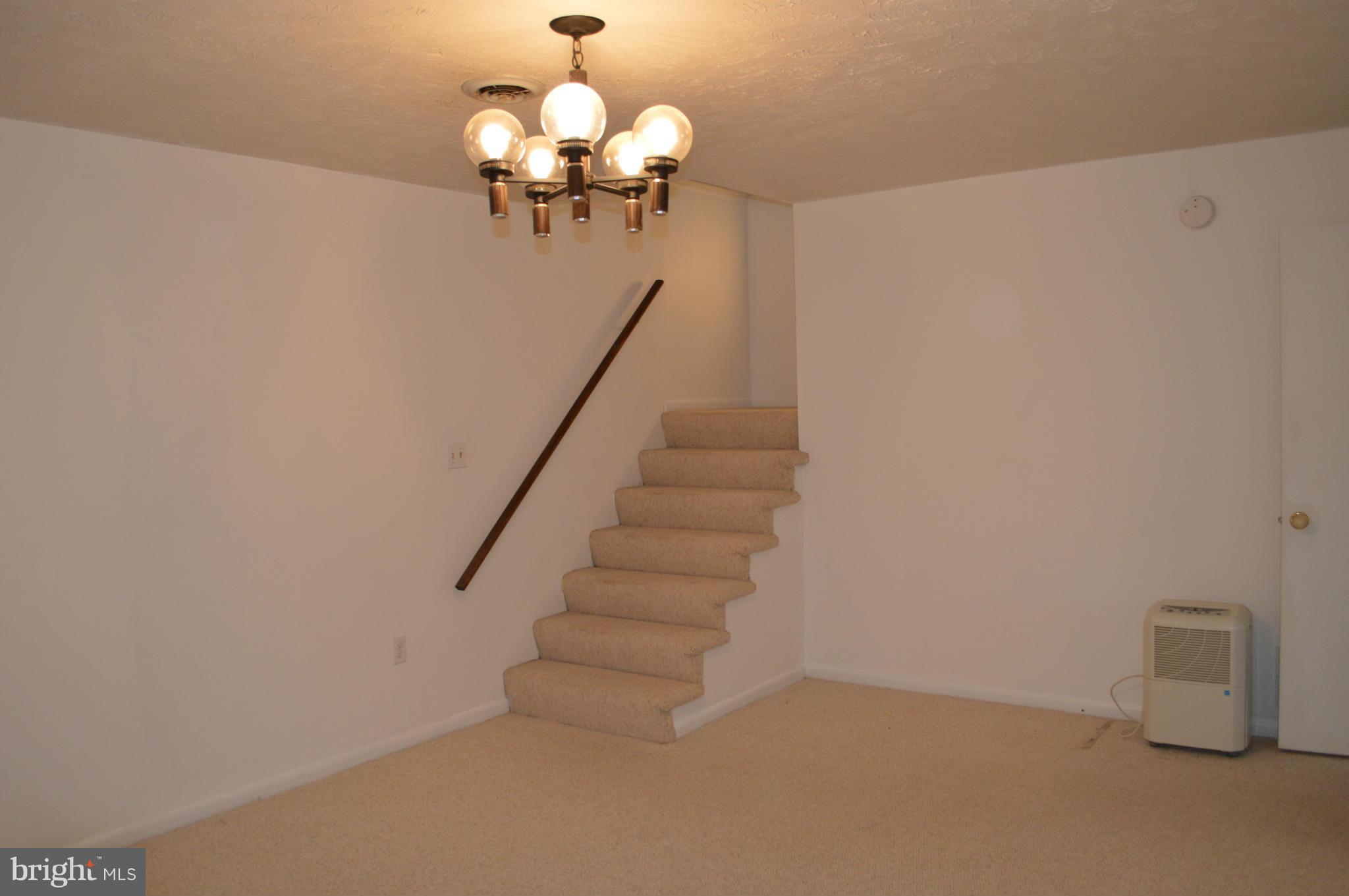153 Bluff Road Strasburg, VA 22657 - Photo 23 of 29 Basement