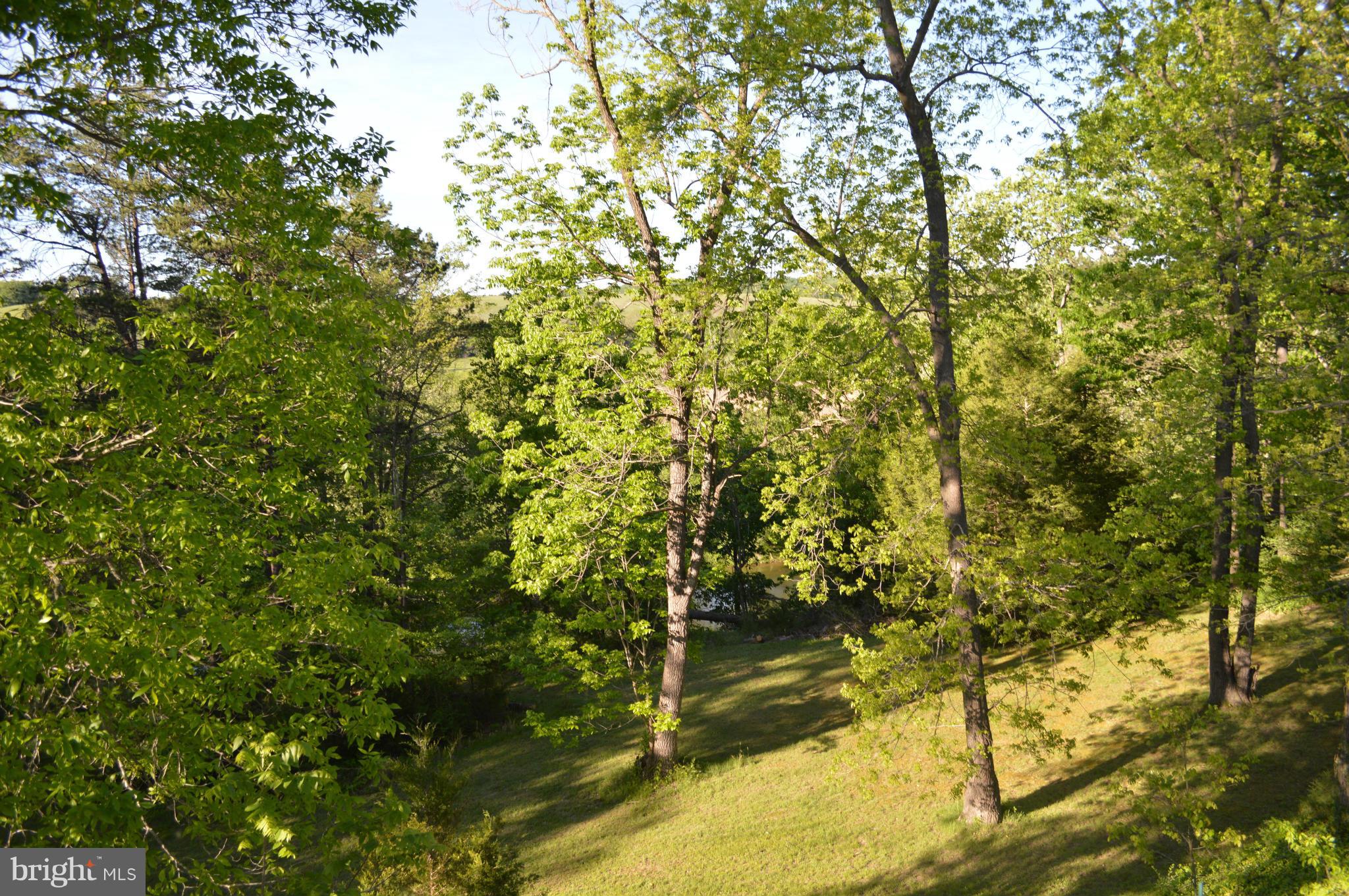 153 Bluff Road Strasburg, VA 22657 - Photo 4 of 29 View from off deck