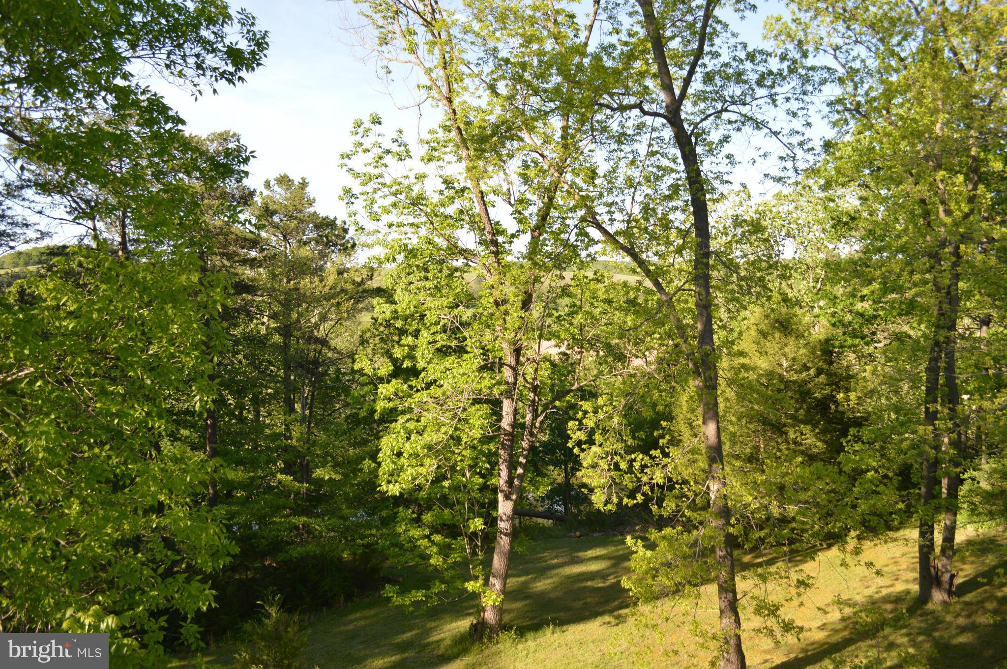 153 Bluff Road Strasburg, VA 22657 - Photo 5 of 29 View from off deck