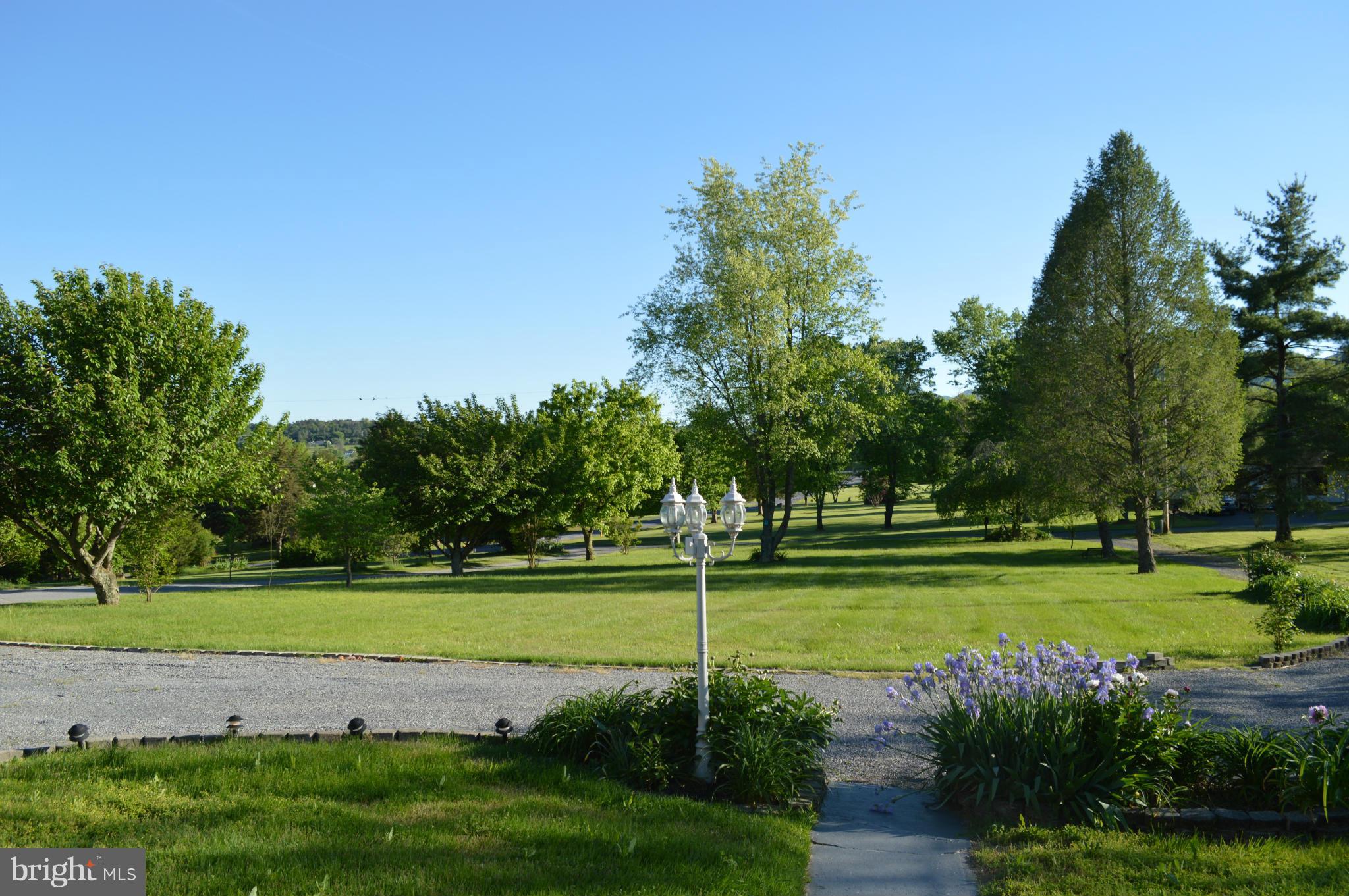 153 Bluff Road Strasburg, VA 22657 - Photo 6 of 29 Looking from front porch