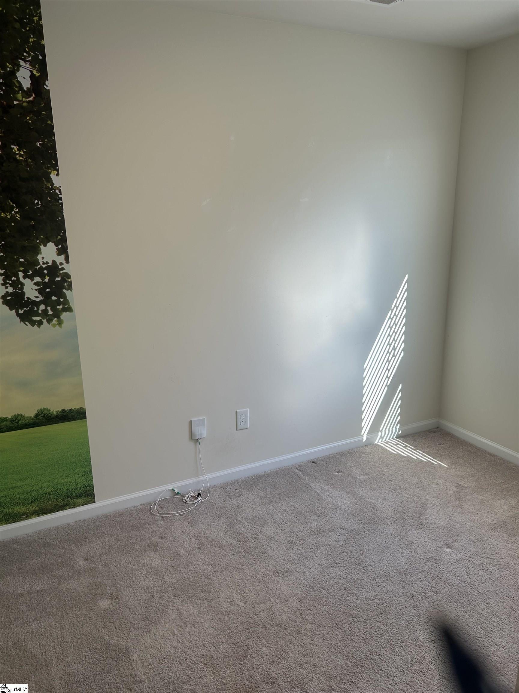 107 Ralston Road Greer, SC 29651 - Photo 7 of 23