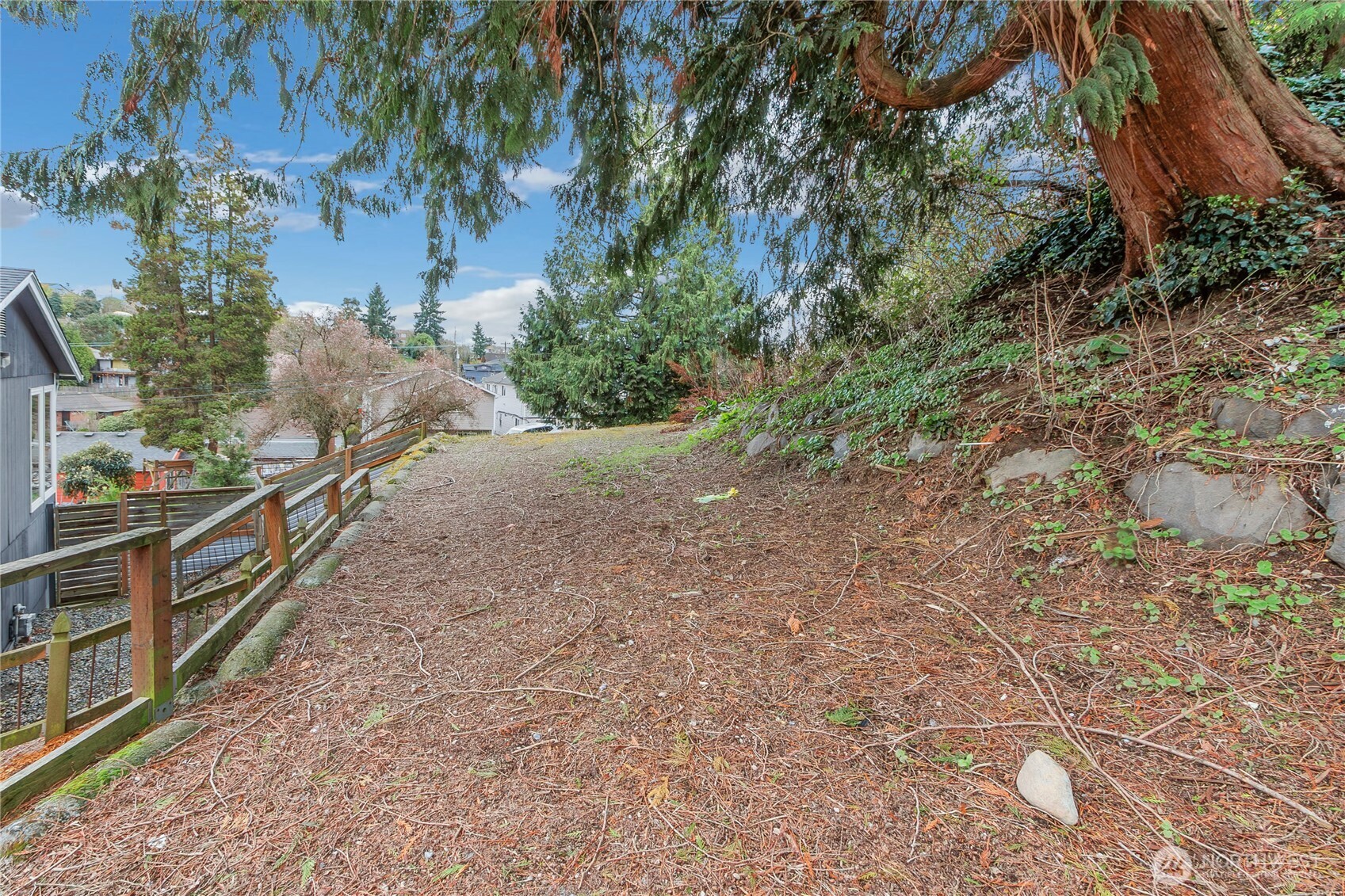 2356 South Angeline Street Seattle, WA 98108 - Photo 28 of 35 a view of a yard with plants and wooden fence