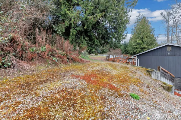 a backyard of a house with large trees and plants