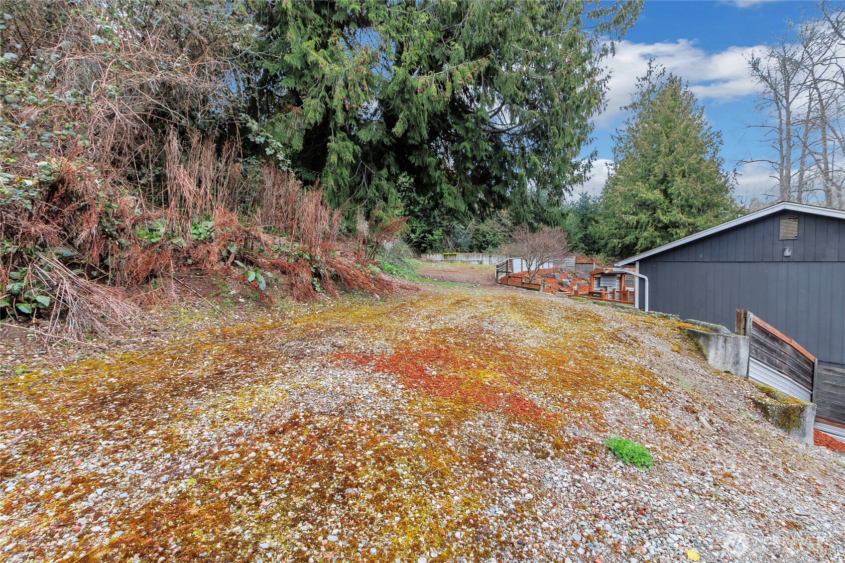 2356 South Angeline Street Seattle, WA 98108 - Photo 30 of 35 a backyard of a house with large trees and plants