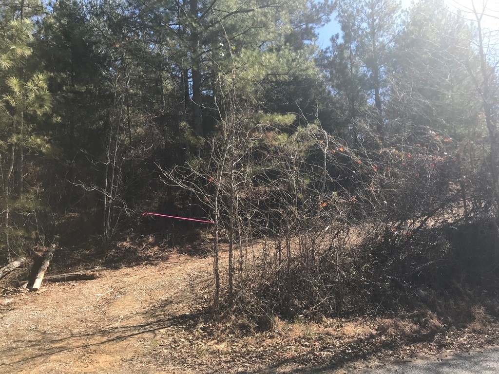 0 Goodfield Creek Road Decatur, TN 37322 - Photo 3 of 4