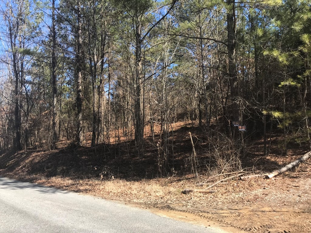 0 Goodfield Creek Road Decatur, TN 37322 - Photo 4 of 4