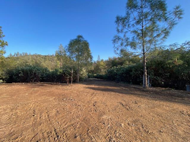 0 Murphys Camp Road Murphys, CA 95247 - Photo 13 of 35