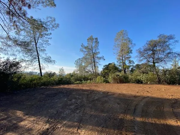 a view of a grassy area with an trees