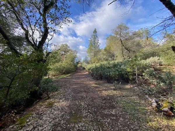 a view of a yard