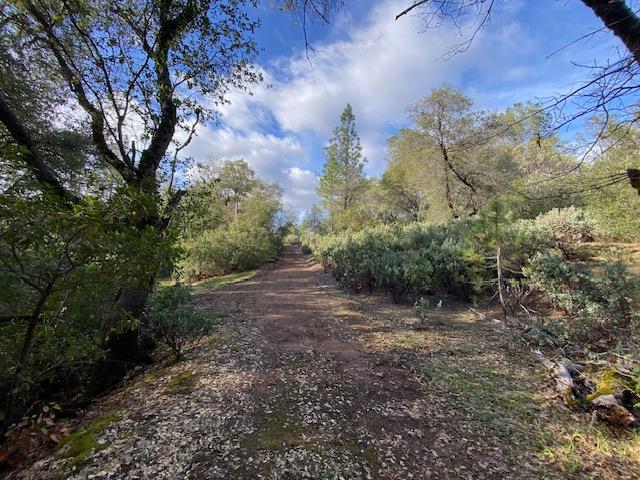 0 Murphys Camp Road Murphys, CA 95247 - Photo 19 of 35