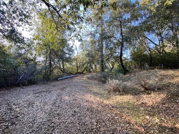 a view of outdoor space with trees all around