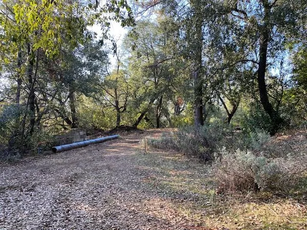 a view of a pathway with a building in the background