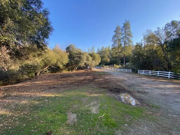 a view of a dry yard with trees