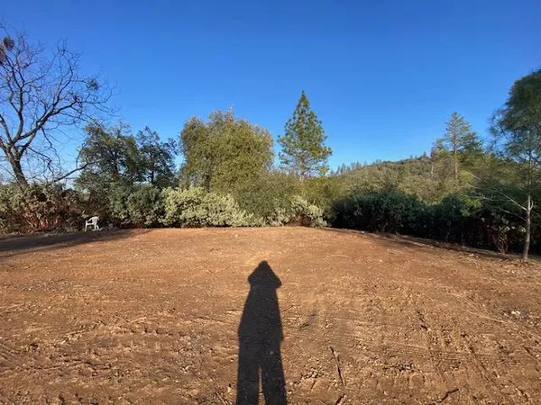 a view of dirt yard with a tree