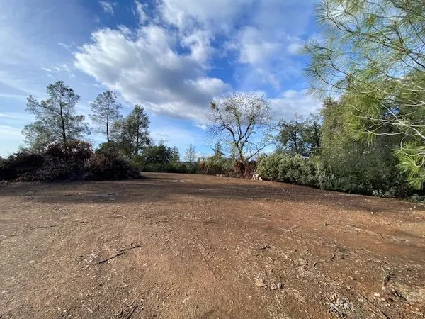 a view of dirt field with trees in background