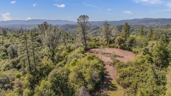 a view of a dry yard with trees in the background