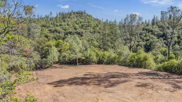 a view of a lush green field with mountains in the background