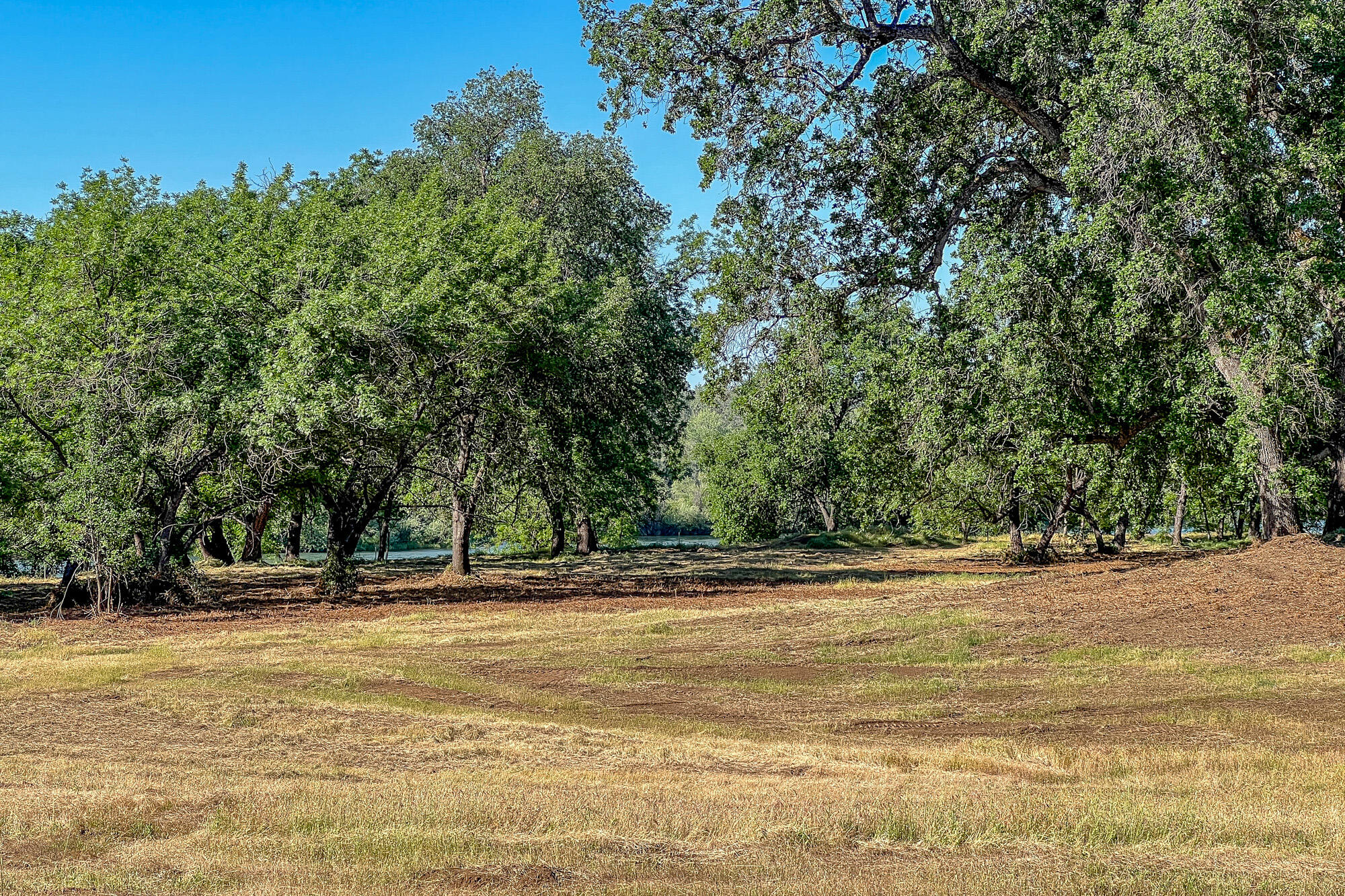 Clover Road Redding, CA 96002 - Photo 19 of 23 IMG_4014