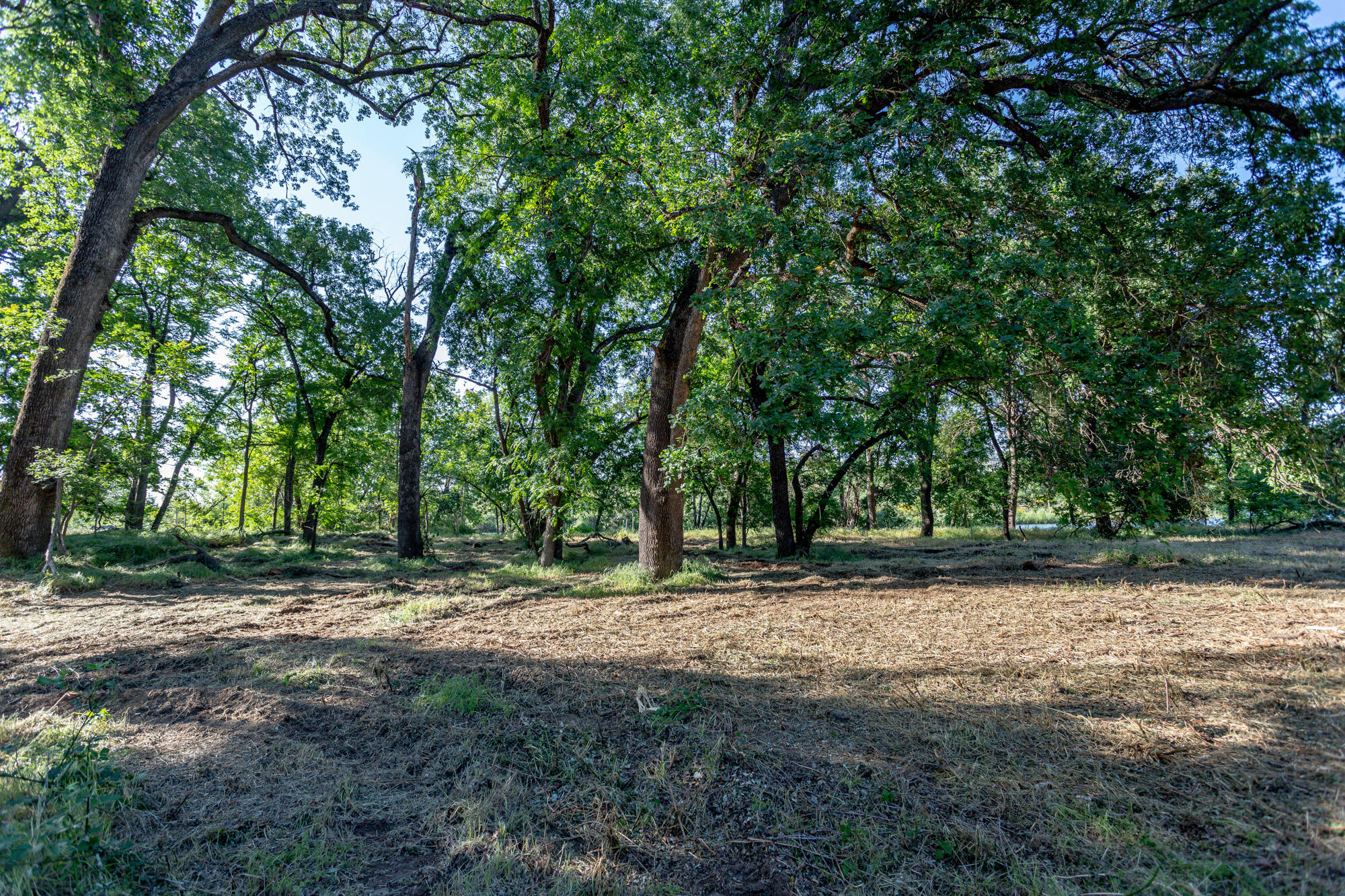 Clover Road Redding, CA 96002 - Photo 21 of 23 IMG_4232