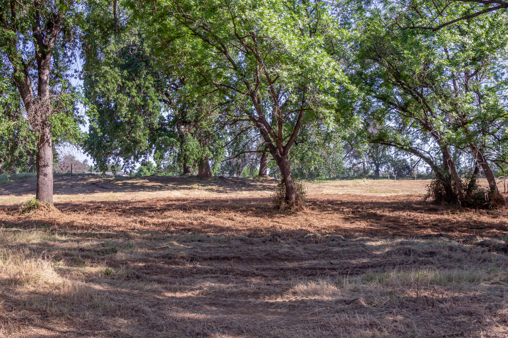 Clover Road Redding, CA 96002 - Photo 23 of 23 IMG_7242