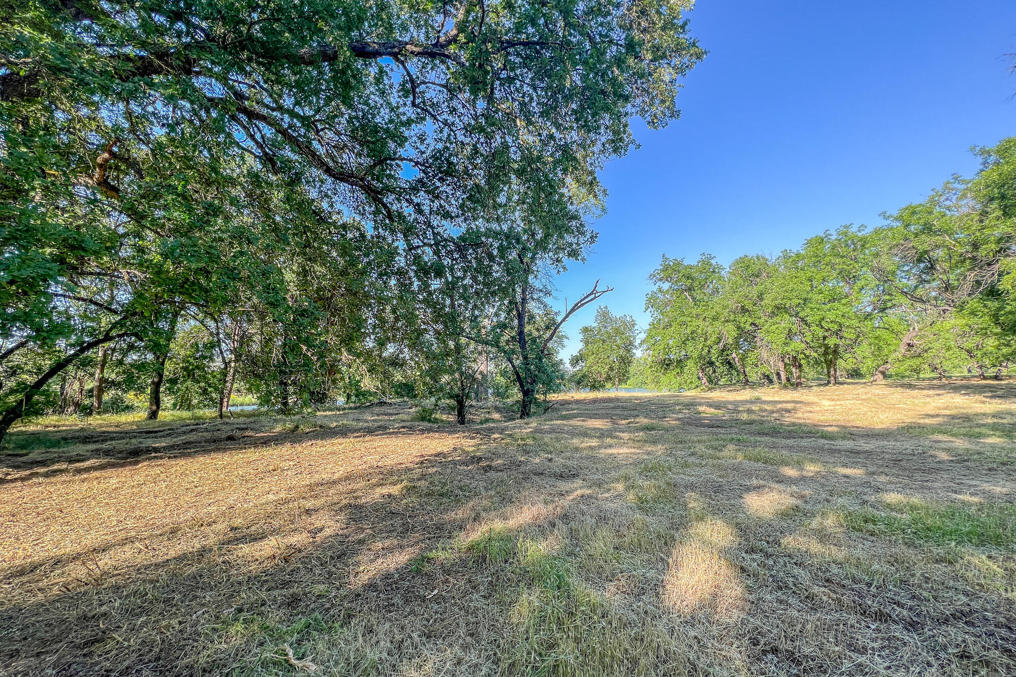 Clover Road Redding, CA 96002 - Photo 9 of 23 IMG_3985