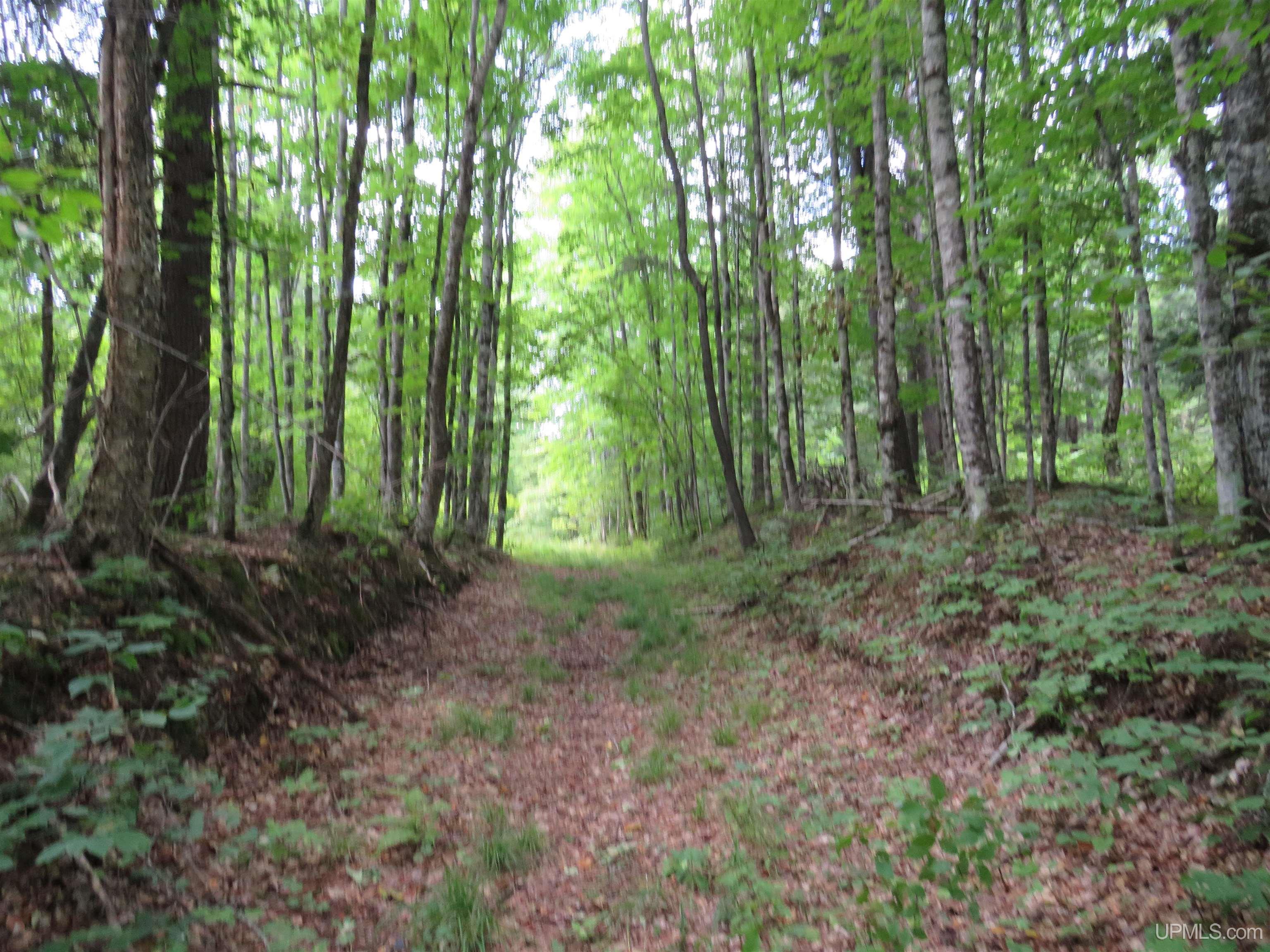 Tbd Black Creek Road Skanee, MI 49962 - Photo 10 of 14