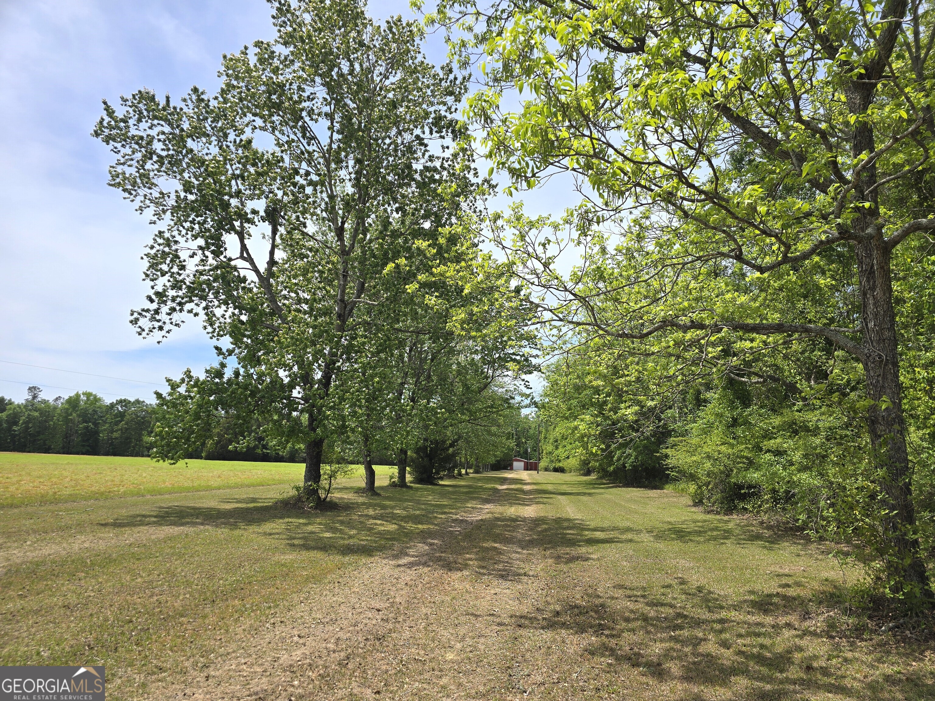 2096 Old Quaker Road Wrens, GA 30833 - Photo 5 of 23 a view of a field with trees in the background