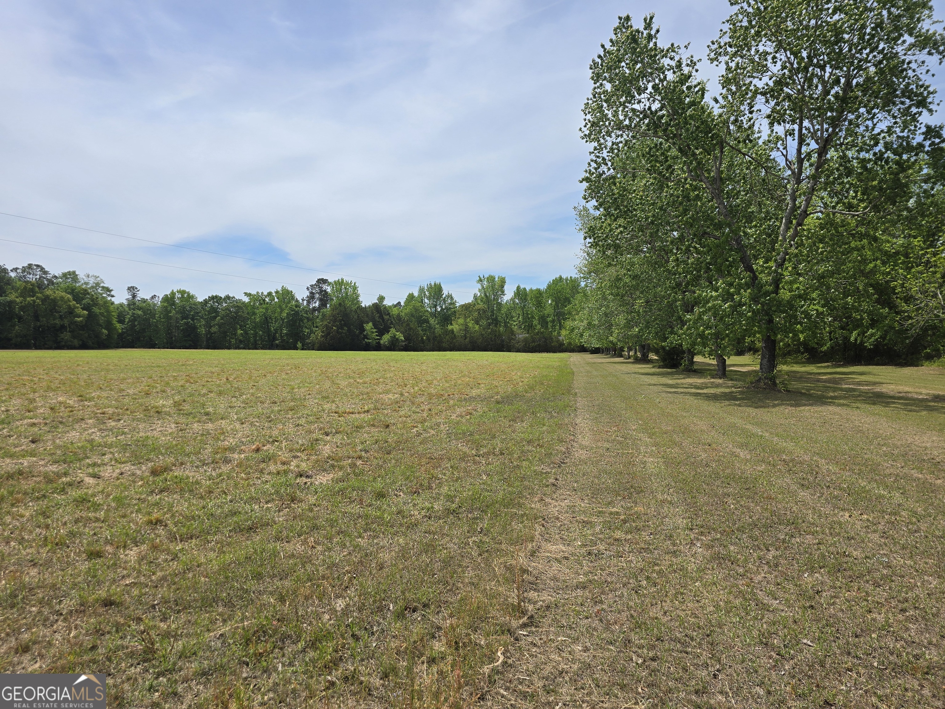 2096 Old Quaker Road Wrens, GA 30833 - Photo 6 of 23 a view of yard with trees
