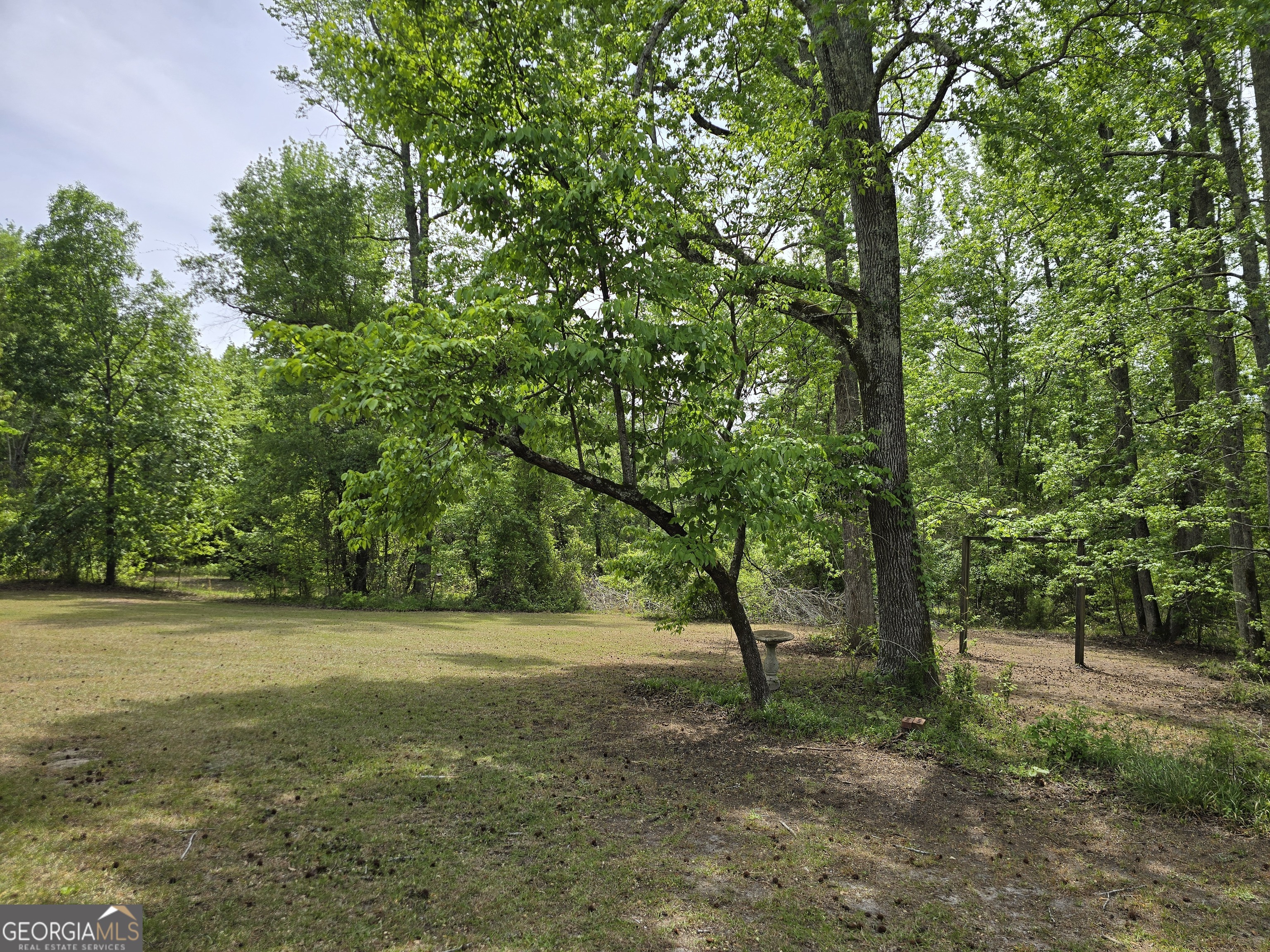 2096 Old Quaker Road Wrens, GA 30833 - Photo 7 of 23 a view of a trees with a trees