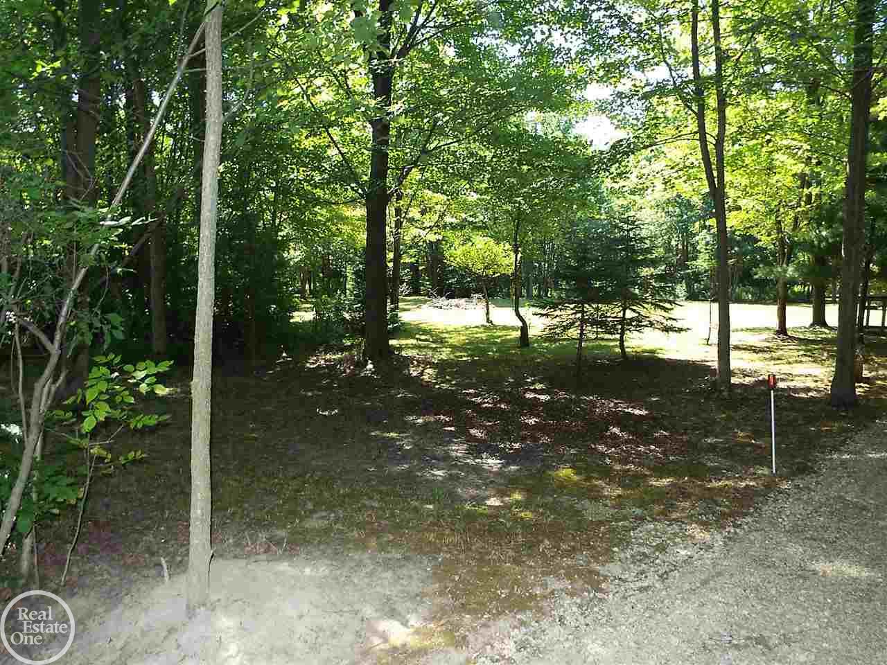10419 Bryce Road Avoca, MI 48006 - Photo 6 of 21 31298189-5.JPG