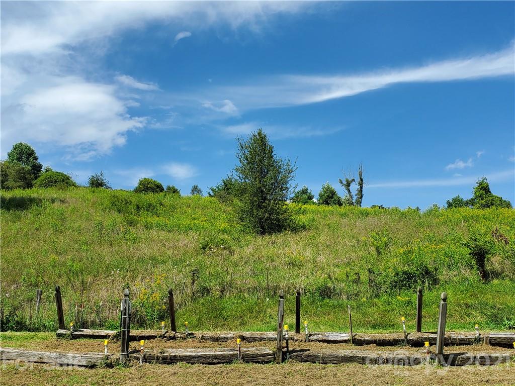 4580 Little Pine Road Marshall, NC 28753 - Photo 25 of 39 a view of a yard with an trees