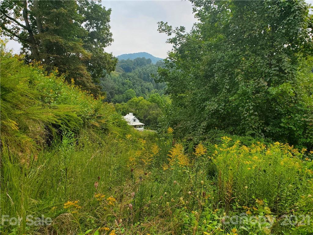 4580 Little Pine Road Marshall, NC 28753 - Photo 30 of 39 a view of a lush green forest