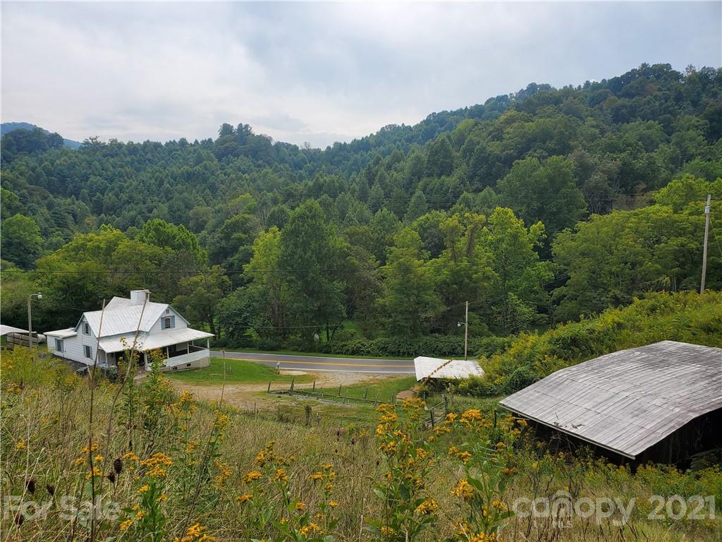 4580 Little Pine Road Marshall, NC 28753 - Photo 31 of 39 a view of a swimming pool with a yard and large tree
