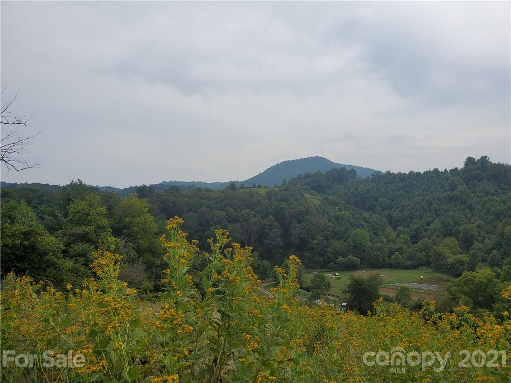 4580 Little Pine Road Marshall, NC 28753 - Photo 34 of 39 a view of lake with green space