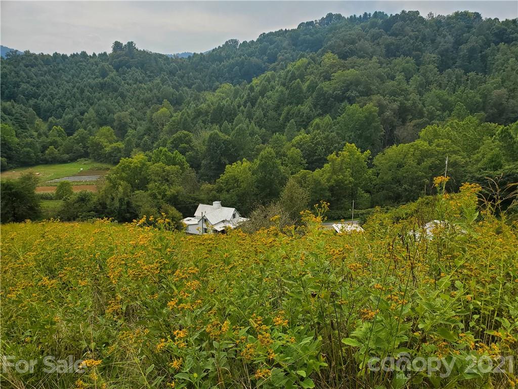 4580 Little Pine Road Marshall, NC 28753 - Photo 35 of 39 a view of a lake and green valley