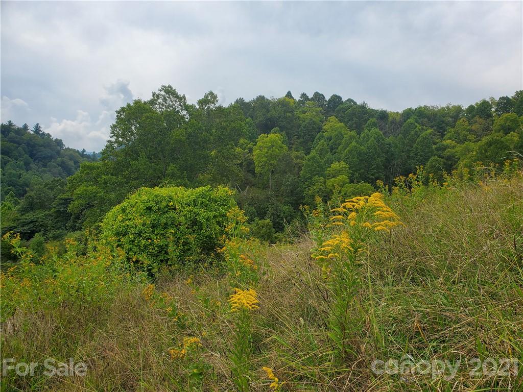 4580 Little Pine Road Marshall, NC 28753 - Photo 36 of 39