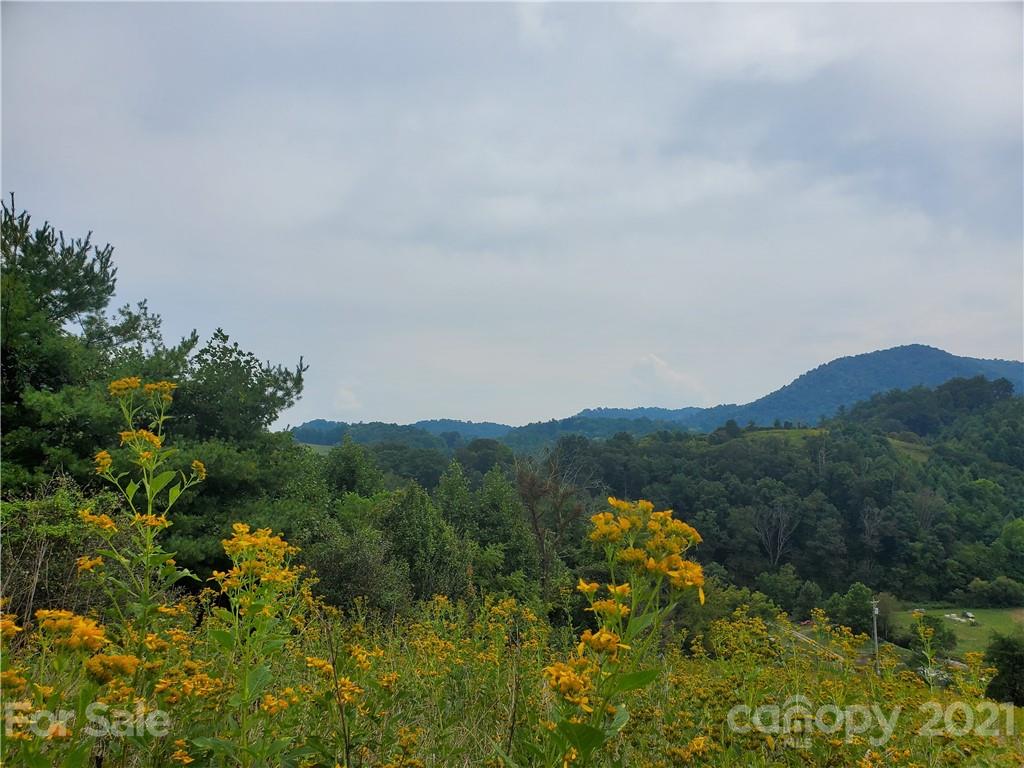 4580 Little Pine Road Marshall, NC 28753 - Photo 37 of 39 a view of mountain with sitting area