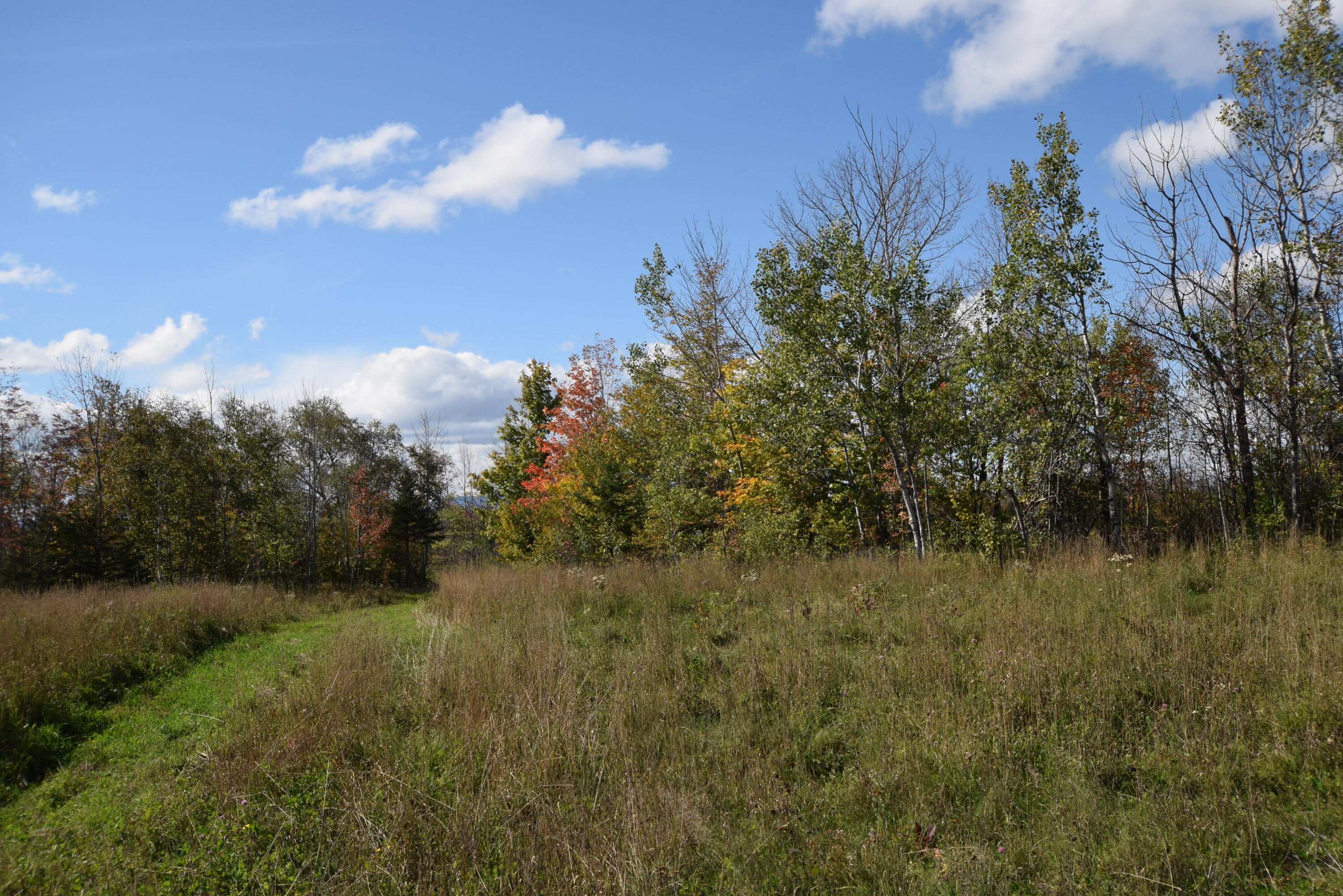 Lot 5 Barleyville Road Patten, ME 04765 - Photo 18 of 45 Fields & Forest...