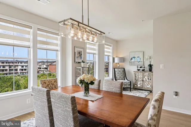 a dining room with furniture a rug a potted plant and a chandelier