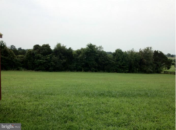 13228 Chestnut Fork Road Culpeper, VA 22701 - Photo 14 of 17 Pasture on right side of house.