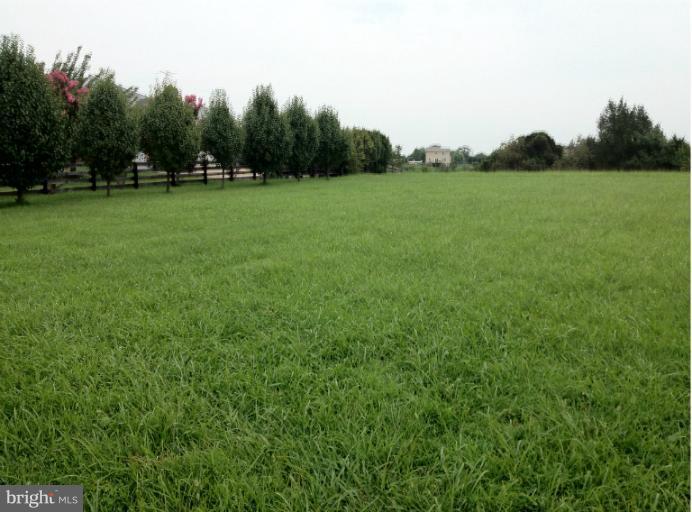 13228 Chestnut Fork Road Culpeper, VA 22701 - Photo 16 of 17 Pasture on left side of house.