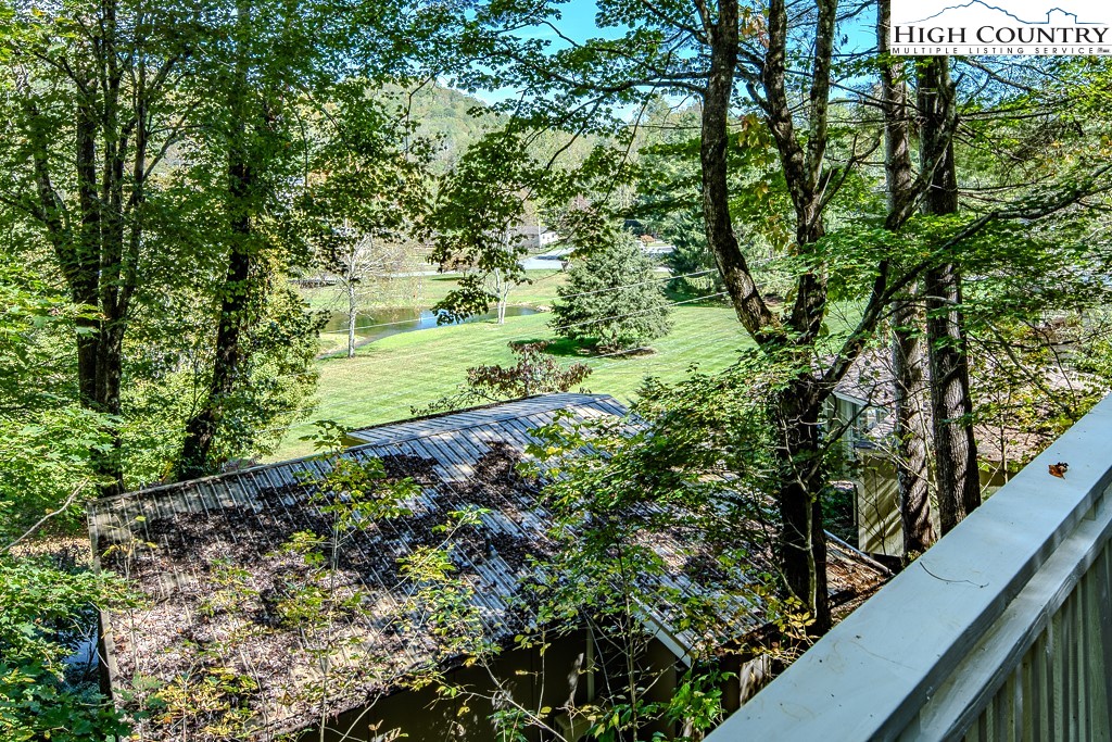 111 Skyview Lane Banner Elk, NC 28604 - Photo 13 of 31 a view of a garden with plants and large trees